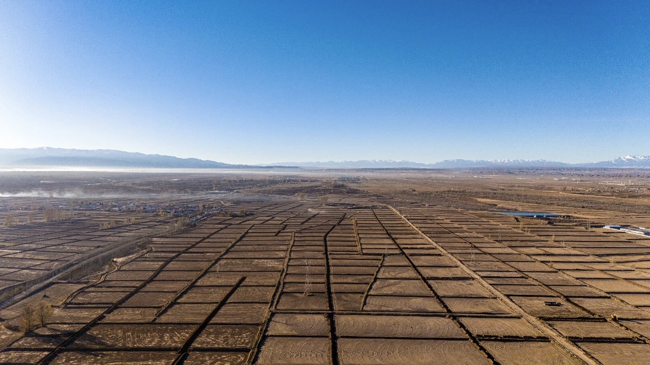 項目為王強根基 多元發力促振興 地膜治理與綠色發展的平衡之道